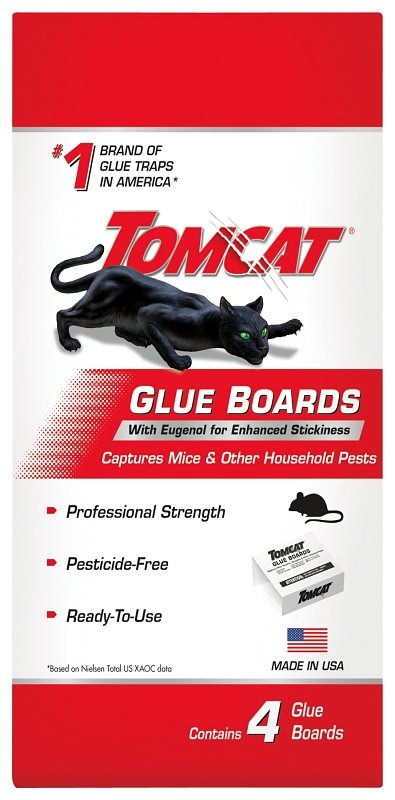 BOARD GLUE PEST W/EUGENOL 4PK 