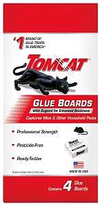 BOARD GLUE PEST W/EUGENOL 4PK 