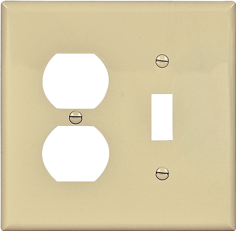 WALL PLATE 2G TGL/DUPL MID IV 