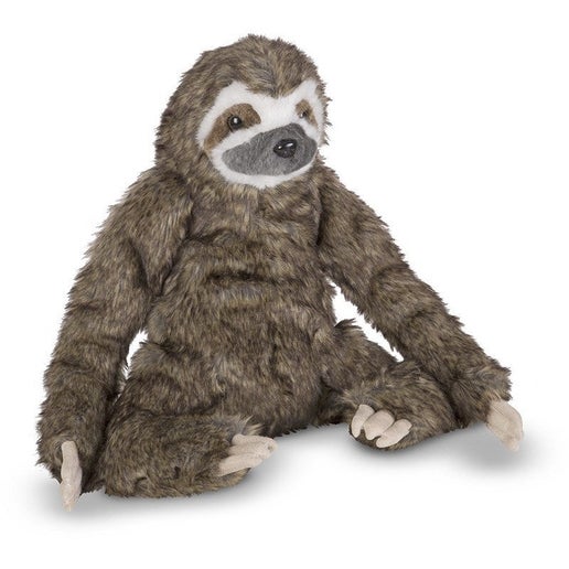 sloth