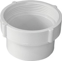 DRAIN CLEANOUT BODY PVC 4 IN  