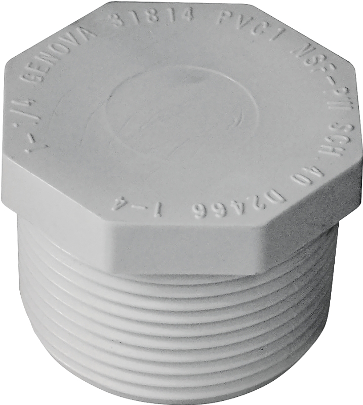 PLUG PVC MIP 1-1/4 IN         