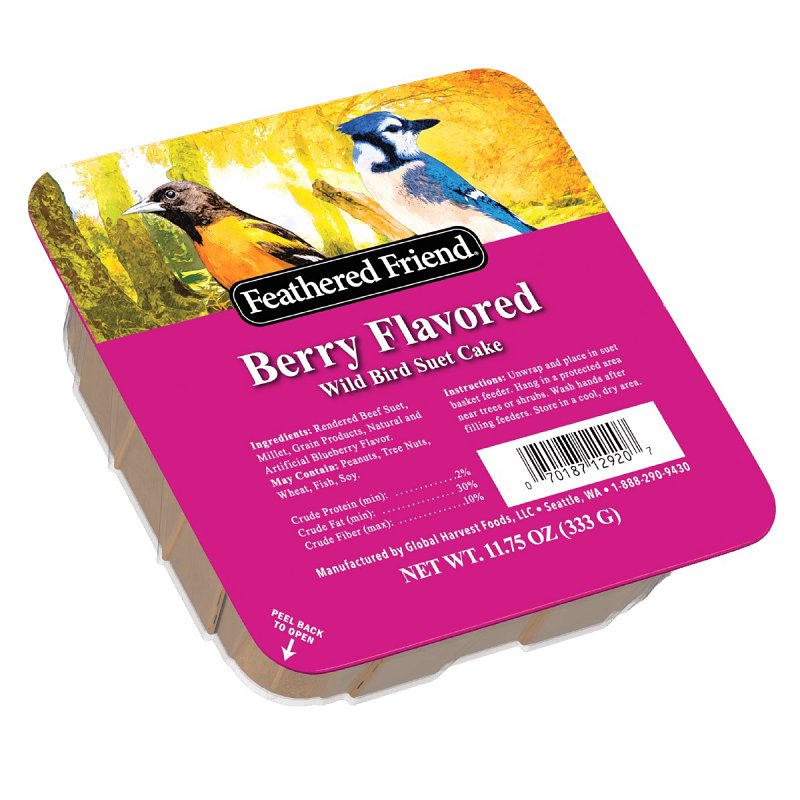 FOOD BD SUET BERRY TRT 11.75OZ