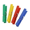 Plastic Spring Clothespins - 24 Pack