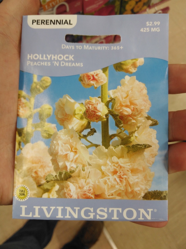 LV HOLLYHOCK - PEACHES 'N DREAMS