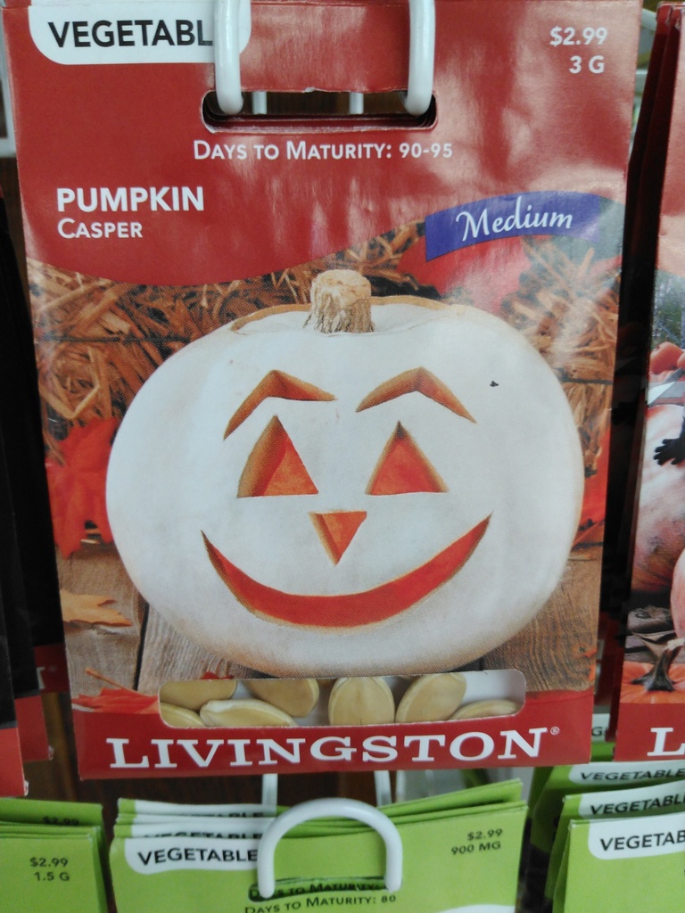 LV PUMPKIN - CASPER