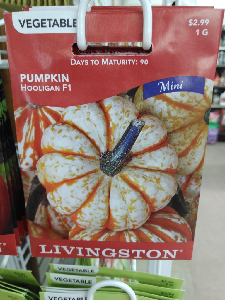 LV PUMPKIN - HOOLIGAN F1