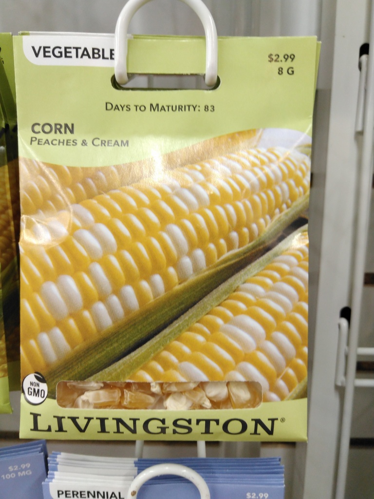 LV CORN - PEACHES & CREAM MID