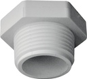 PLUG PVC MIP 1 IN             