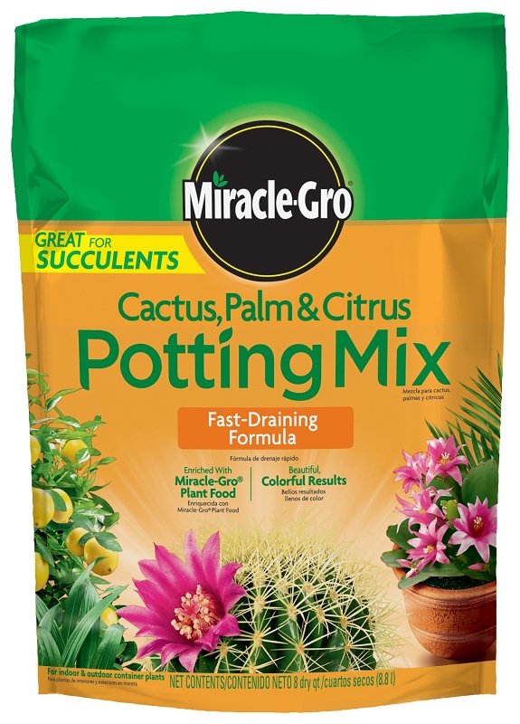 MIX POTTING CACTUS PALM 8QT   