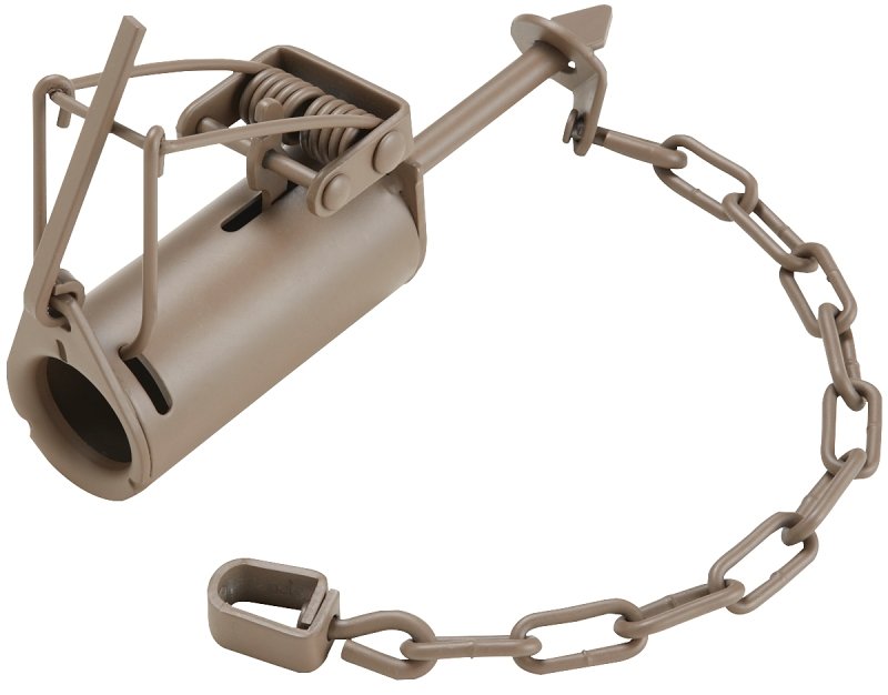 [7020480] TRAP RACCOON DP               