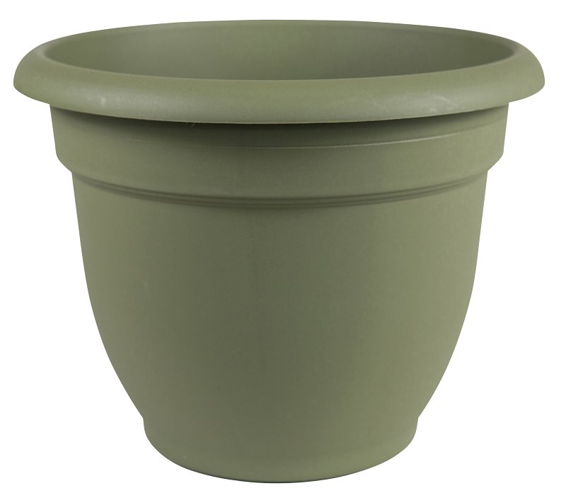 PLANTER LIVING GREEN 12IN     