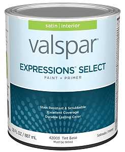 PAINT&PRIMR INT SAT TNT BSE QT