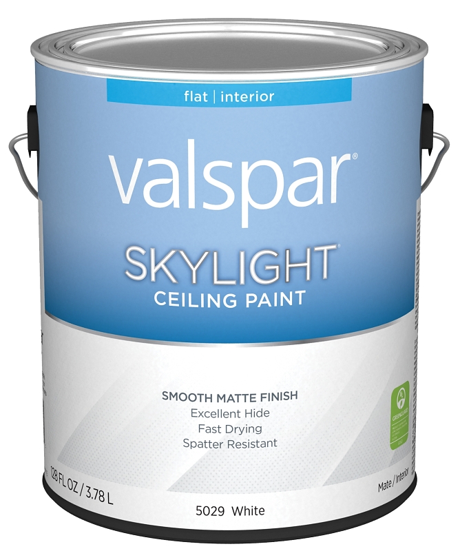 PAINT CEILING WHITE GA        