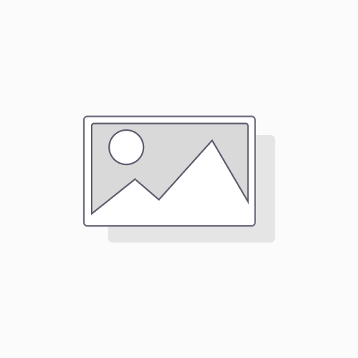 3X5 IOWA NYLON STATE FLAG     