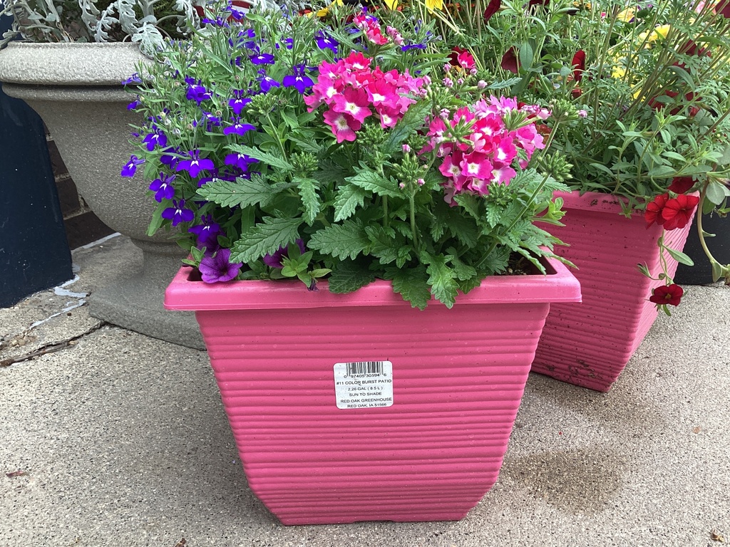 11.0 Porch Pot COLOR BURST