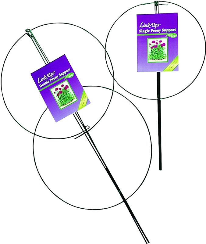 SUPPORT SGL PEONY GRN 14X24IN 