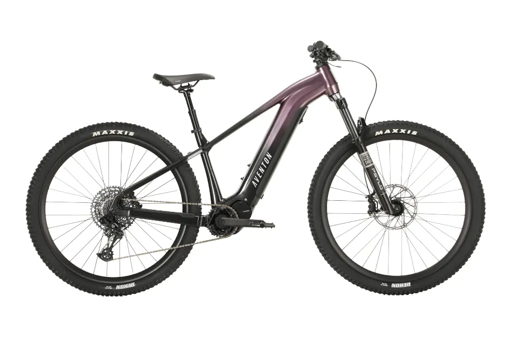 Ramblas eMTB Limited Edition