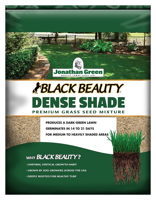 10600 DENSE SHADE SEED 3LB