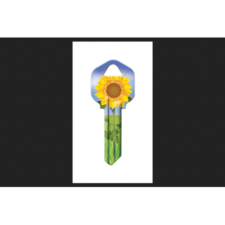 16005KW1-17 KW1 KBLK SUNFLOWER