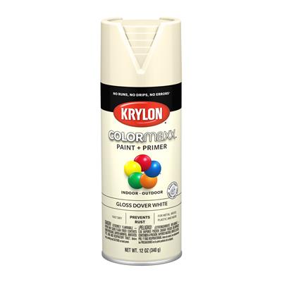 PAINT SPRY GLOSS DOVER WH 12OZ