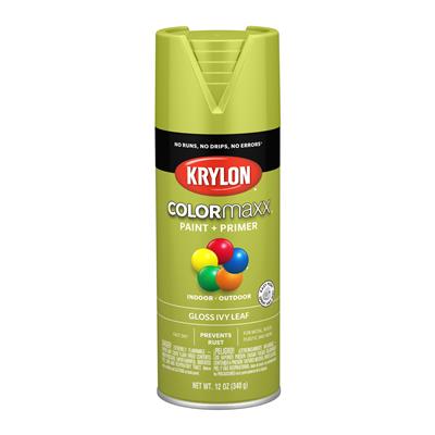 PAINT SPRY GLOSS IVY LEAF 12OZ