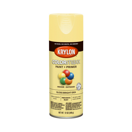 PAINT SPRY GLOSS BRT IDEA 12OZ