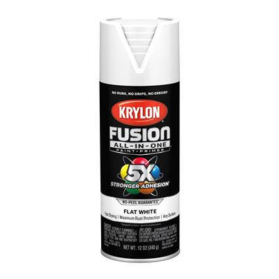 PAINT SPRY FLT WHITE 12OZ     