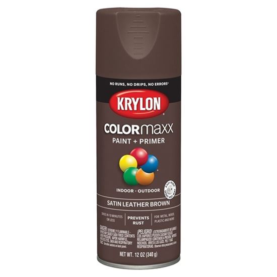 PAINT SPRY STN LTHR BRWN 12OZ 