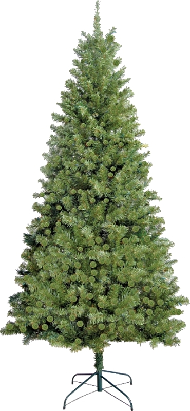 TREE DOUGLAS FIR 7FEET        