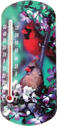 [3598059] THERMOMETER OUTDR SUCTN CUP 8"