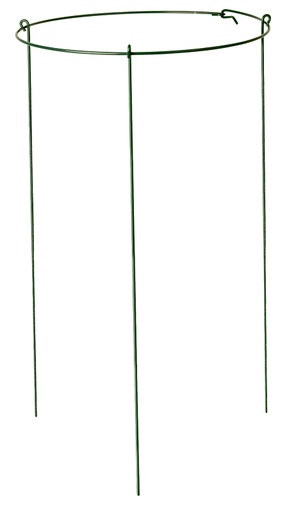 [7406374] RING PEONY PLANT 14IN X 24IN  