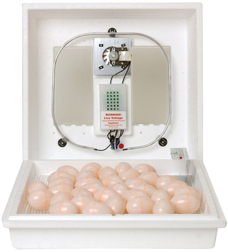 [2574663] INCUBATOR EGG AIR CIRCULATED  