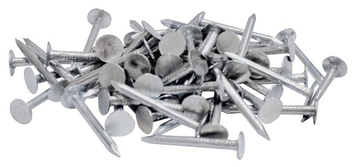 [1740380] NAIL ROOFING EG 2IN 1LB       