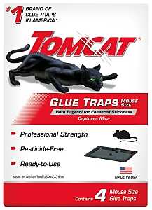 [8105116] TRAP GLUE MOUSE W/EUGENOL 4PK 