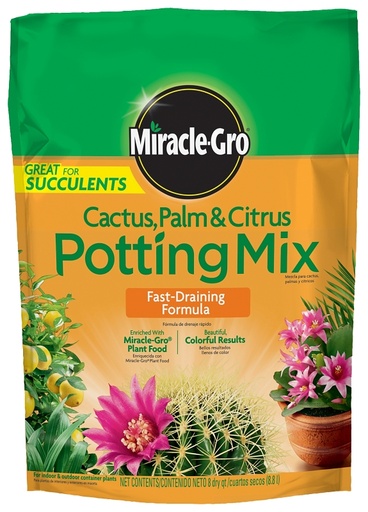 [9526328] MIX POTTING CACTUS PALM 8QT   