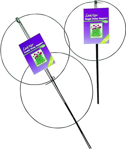 [4090635] SUPPORT SGL PEONY GRN 14X24IN 