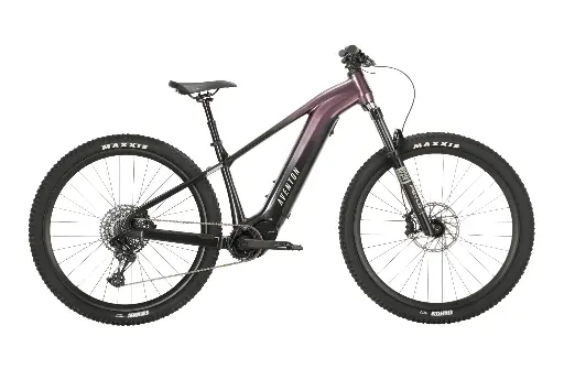 Ramblas eMTB Limited Edition
