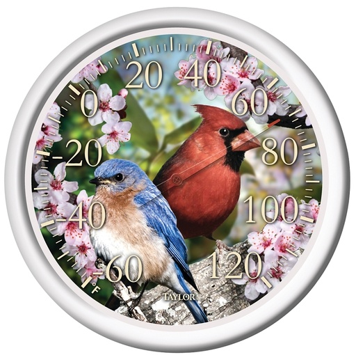 [6874028] THERMOMETR OUTD BLU BRD/RD BRD